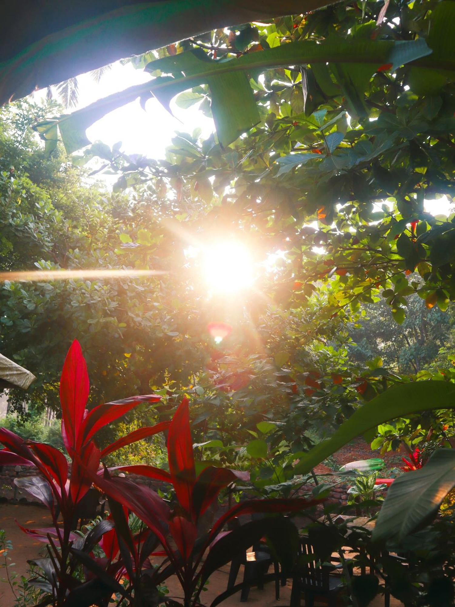 Samyama Retreat Hotel Cola ภายนอก รูปภาพ